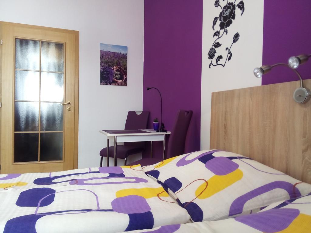 Apartmany - Penzion Smetanka Ceske Budejovice Værelse billede