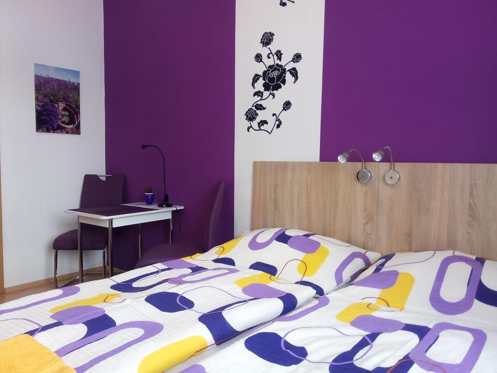 Apartmany - Penzion Smetanka Ceske Budejovice Værelse billede