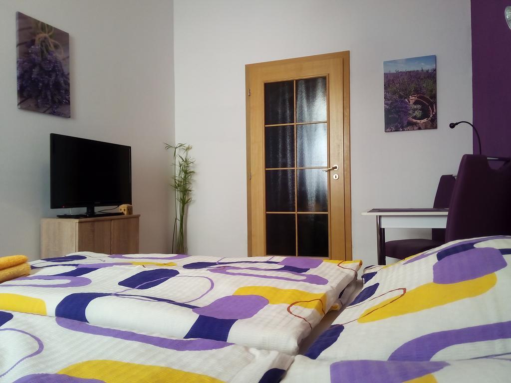 Apartmany - Penzion Smetanka Ceske Budejovice Værelse billede